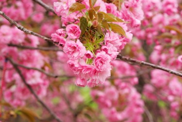 温州永嘉8线下个人借款平台一站式服务，轻松解决资金难题