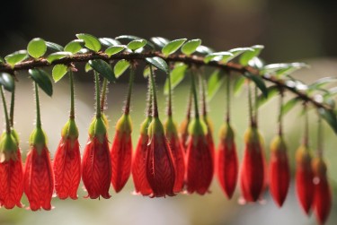 温州永嘉8零用贷短借：轻松解决临时资金需求