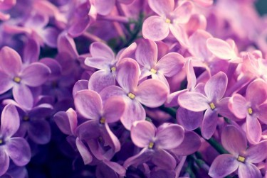 温州永嘉8企业急用钱贷款攻略：快速融资解燃眉之急